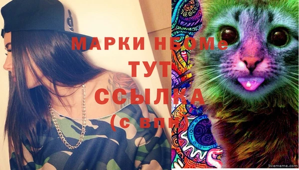 мдпв Абаза