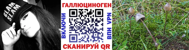 ссылка на мегу зеркало  Петушки  Псилоцибиновые грибы Cubensis  купить  